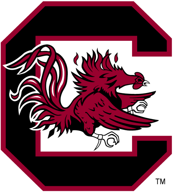South Carolina Gamecocks 1983-Pres Primary Logo diy fabric transfers